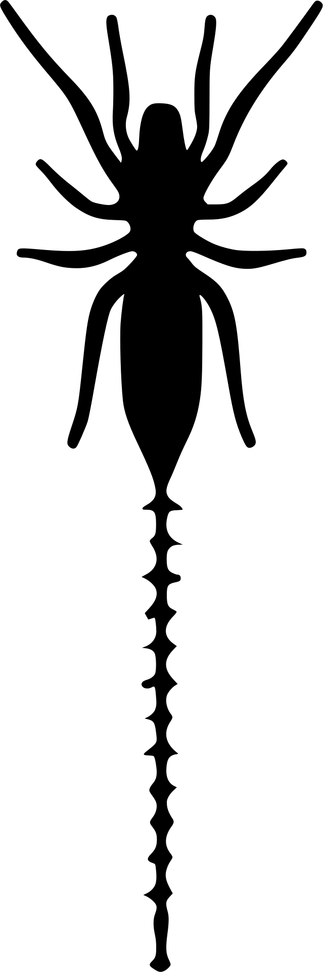 Palpigradi