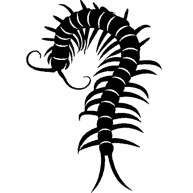 chilopoda