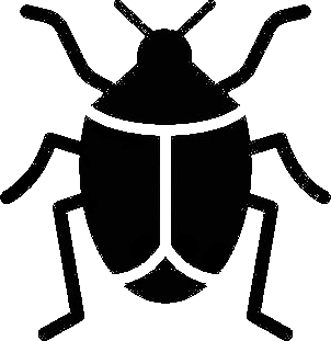 insecta