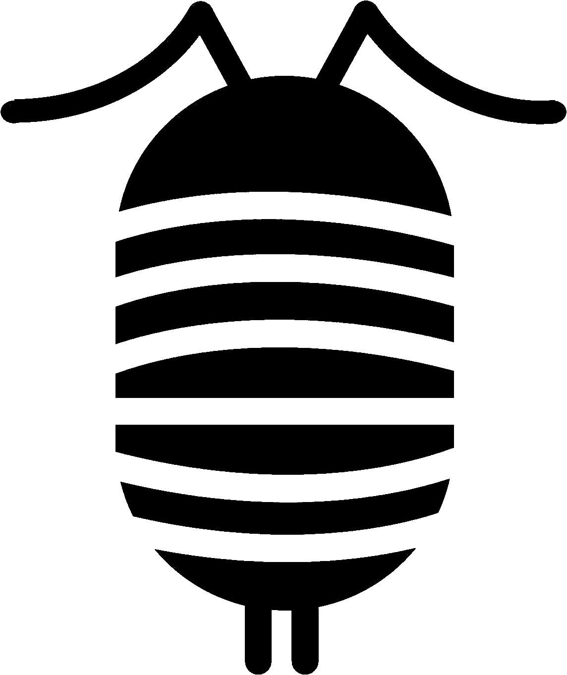 isopoda